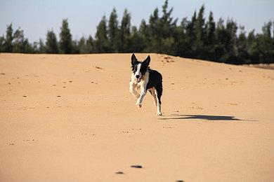 《英雄联盟：双城之战》蔚加入《堡垒之夜》 金克丝返场